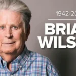 Brian Wilson Net Worth, Age, Height, Affairs, Death Cause, And More
