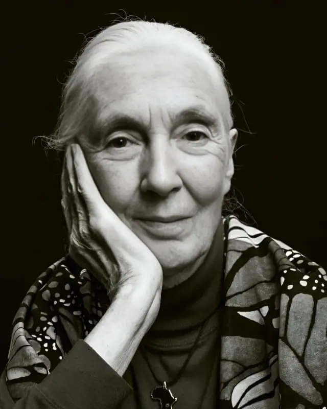 Jane Goodall Age, Height, Children, Death, Net Worth And More