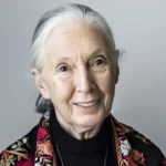 Jane Goodall Age, Height, Children, Death, Net Worth And More