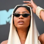 Tommie Lee Age, Height, Affairs, Net Worth And More