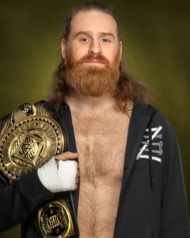Sami Zayn Height, Weight, Age, Wife, Fights, Net Worth And More