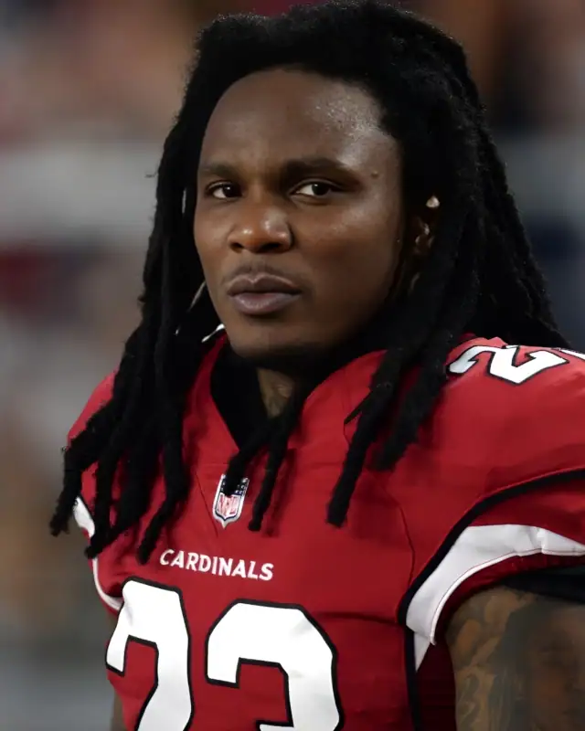 Chris Johnson Height, Age, Wife, Stats, Net Worth And More