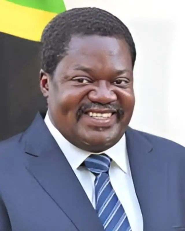 Emmanuel Nchimbi Age, Height, Wife, Net Worth And More